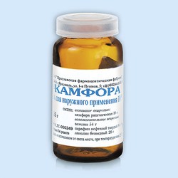 Камфора мазь 10% 25 г 1 шт.
