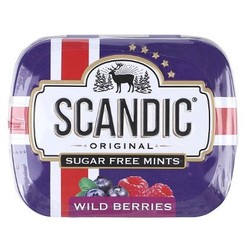 Конфеты Scandic Лесные ягоды без сахара 14 г