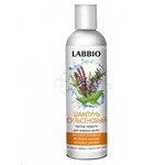 Шампунь, Labbio (Лаббио) 250 мл Сульсеновый против перхоти для жирных волос экстракт розмарина крапивы шалфея