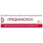 Преднизолон, мазь для наружного применения 5 мг/г 10 г 1 шт