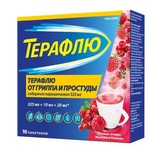ТераФлю, порошок для приготовления раствора для приема внутрь 11.5 г / 11.6 г 10 шт лесные ягоды