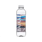 Вода питьевая, Baikal430 (Байкал430) 0.85 л 1 шт глубинная 430 м негазированная пэт бут.