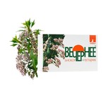 Вечернее+пустырник, драже 0.16 г 120 шт БАД